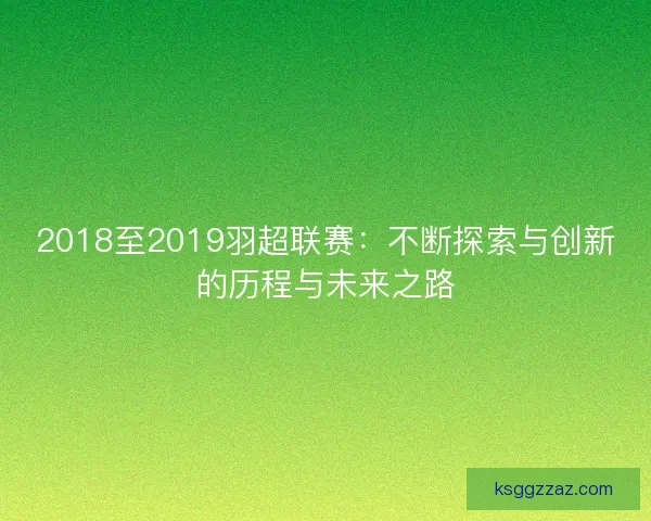 2018至2019羽超联赛：不断探索与创新的历程与未来之路